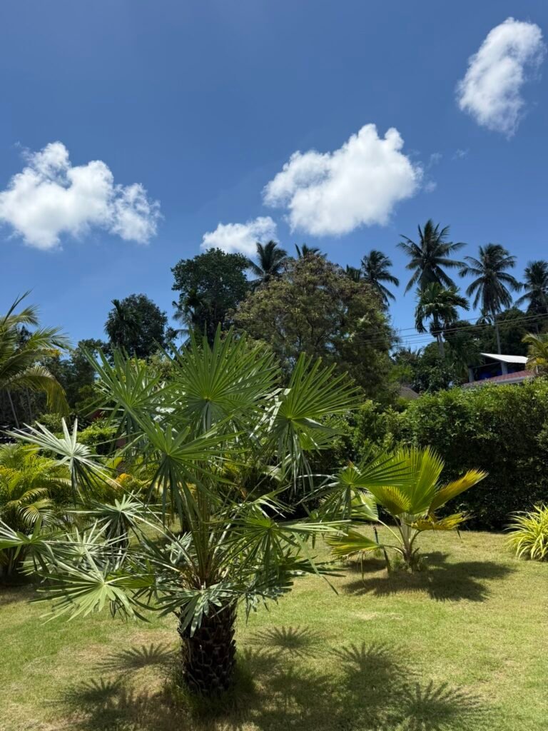 Private tropical garden around the pool villa