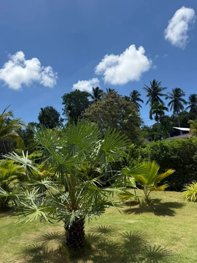 Private tropical garden around the pool villa
